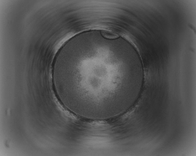 X0000102021133200807181320