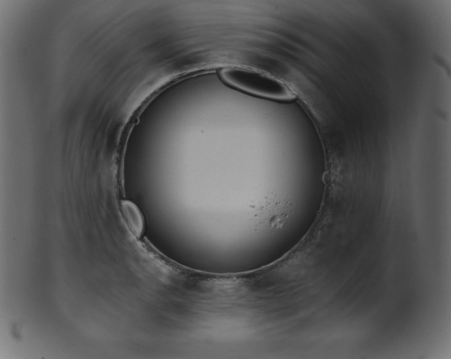 X0000102021134200807181320