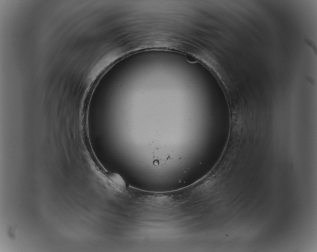 X0000102021135200807181320