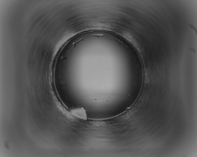 X0000102021136200807181320