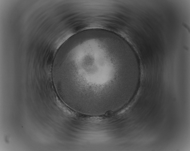 X0000102021137200807181320