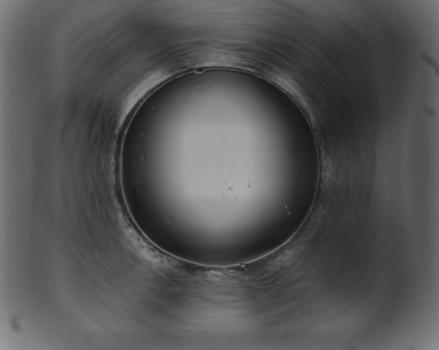 X0000102021138200807181320