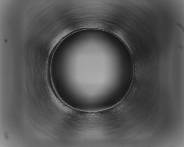 X0000102021139200807181320