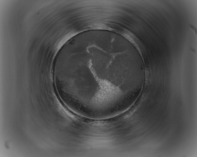 X0000102021141200807181320