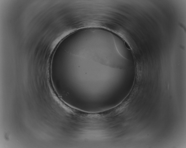 X0000102021142200807181320