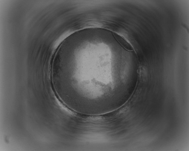 X0000102021143200807181320