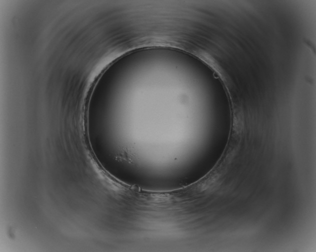 X0000102021144200807181320