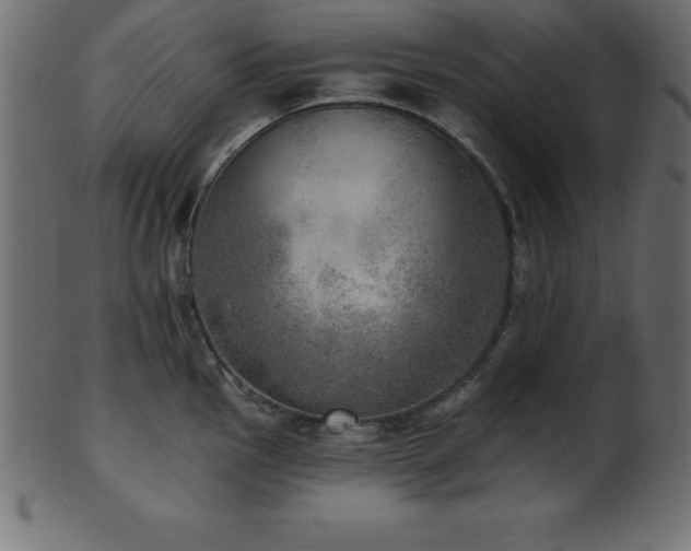 X0000102021145200807181320