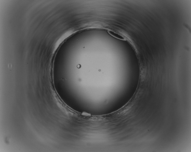X0000102021146200807181320