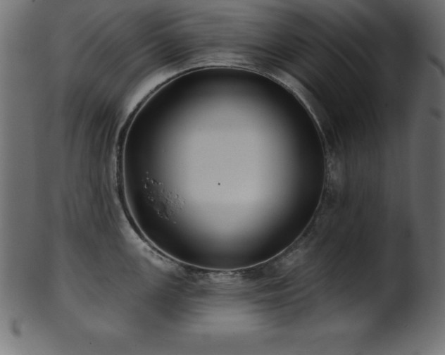 X0000102021147200807181320