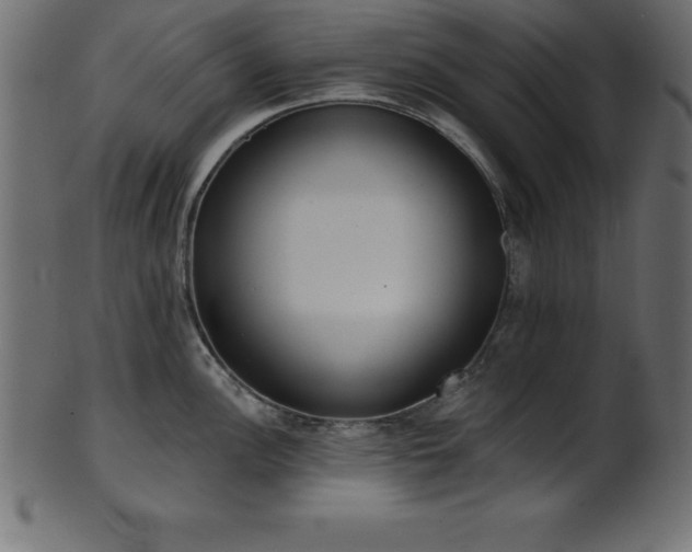 X0000102021148200807181320