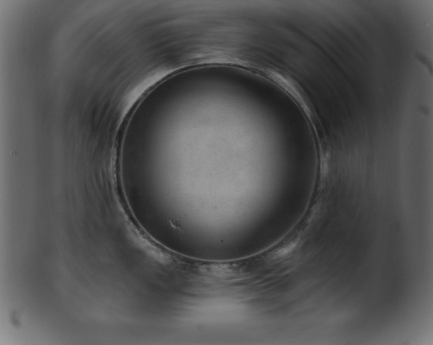 X0000102021149200807181320