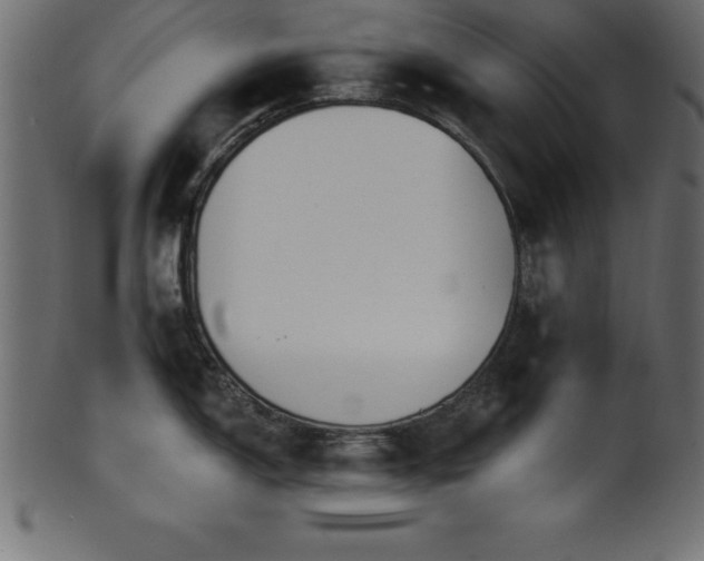 X0000102021150200807181320
