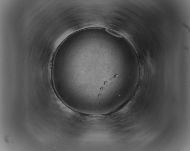X0000102021151200807181320