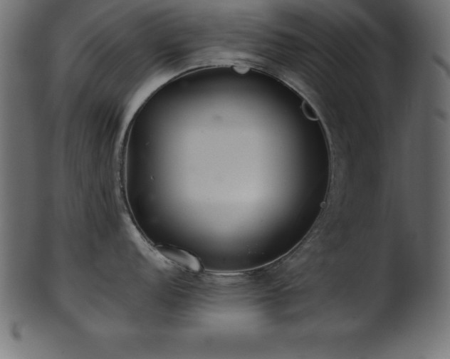X0000102021152200807181320