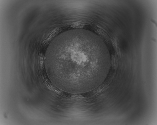 X0000102021154200807181319