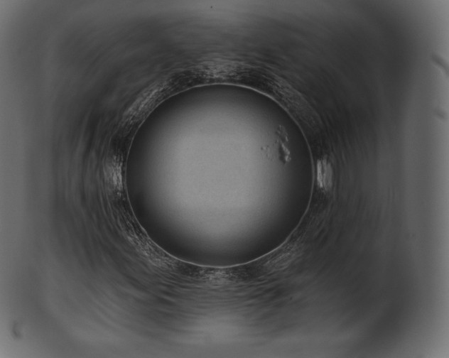 X0000102021155200807181319