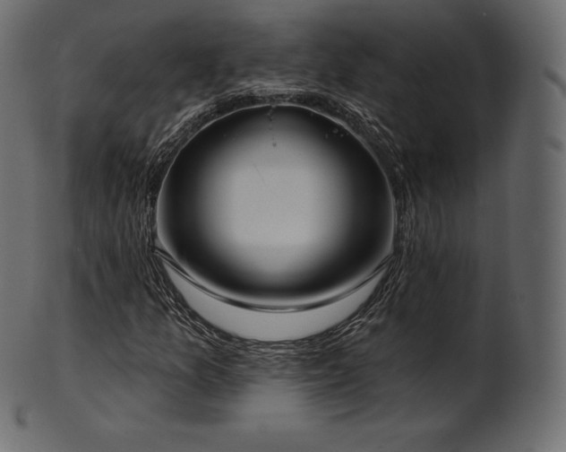 X0000102021157200807181319
