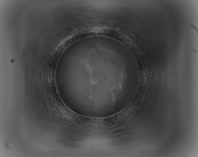 X0000102021158200807181319