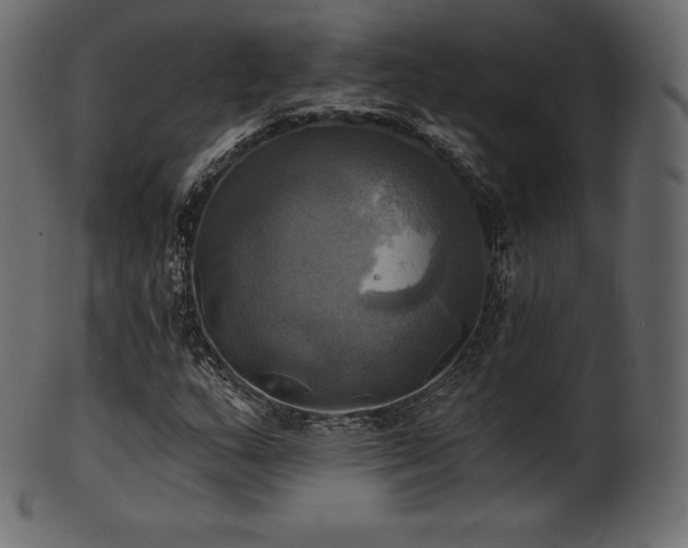 X0000102021159200807181319