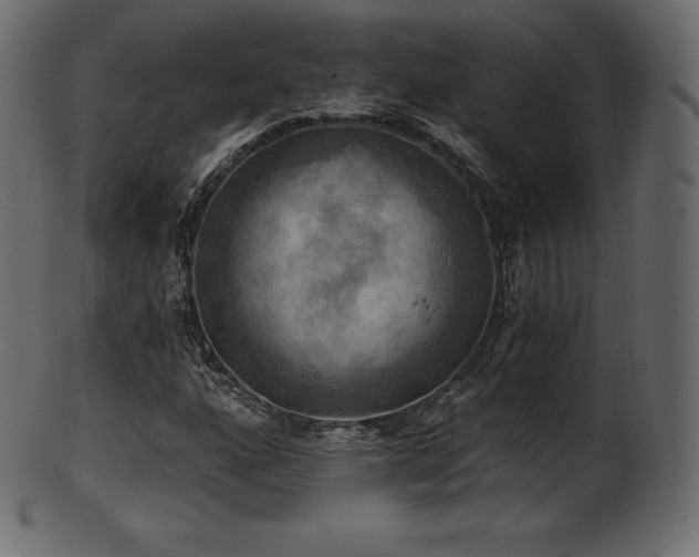 X0000102021160200807181319