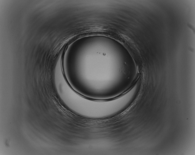 X0000102021161200807181319