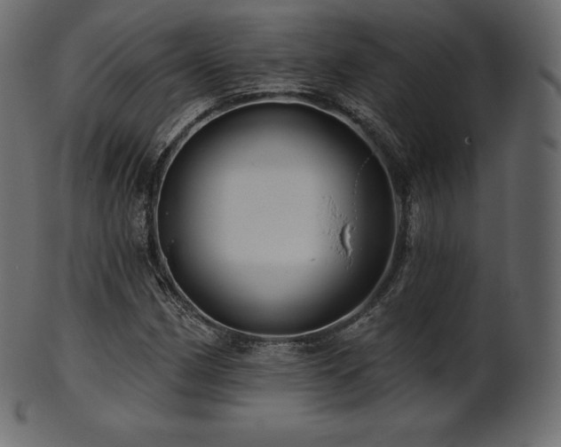 X0000102021162200807181319