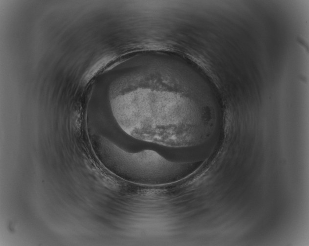 X0000102021163200807181319