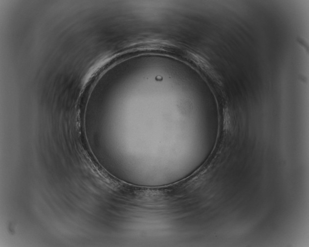 X0000102021164200807181319