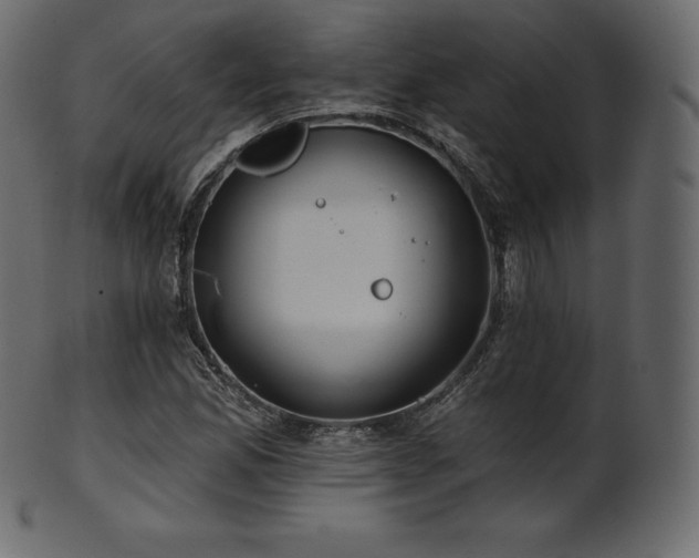 X0000102021165200807181319