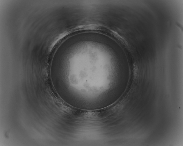 X0000102021166200807181319