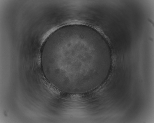 X0000102021167200807181319