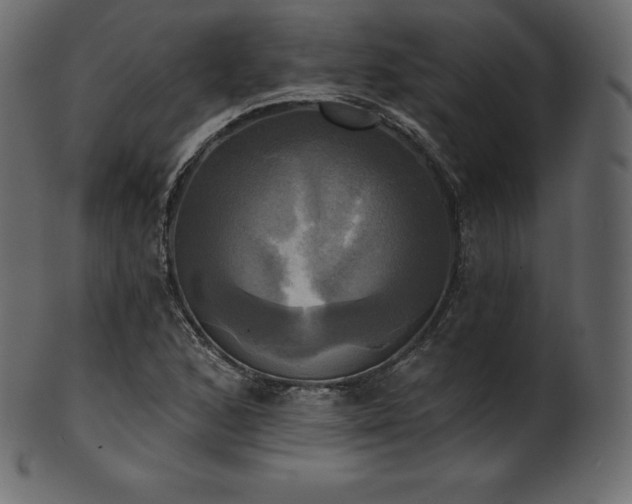 X0000102021168200807181319