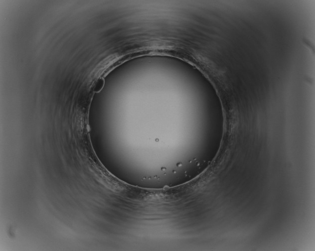 X0000102021169200807181319