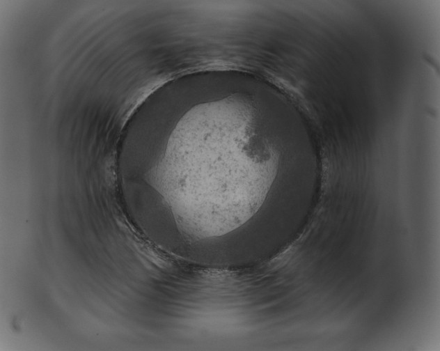 X0000102021170200807181319