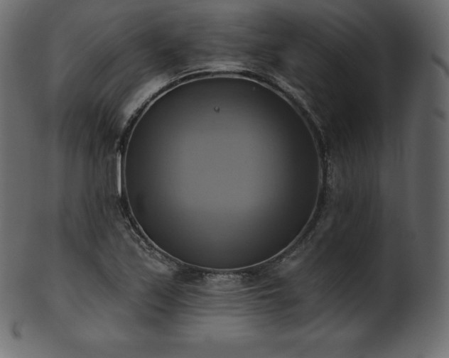 X0000102021171200807181319