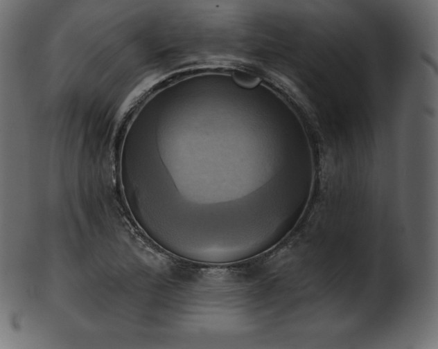X0000102021172200807181319