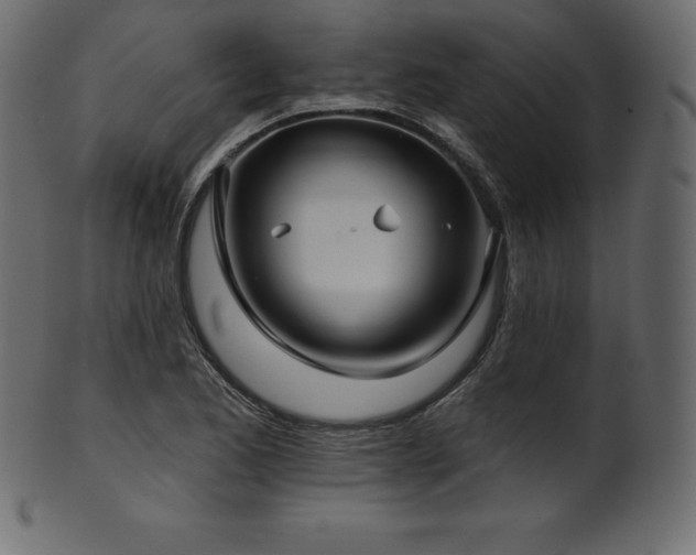 X0000102021173200807181319