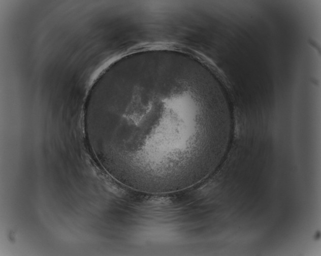 X0000102021174200807181319