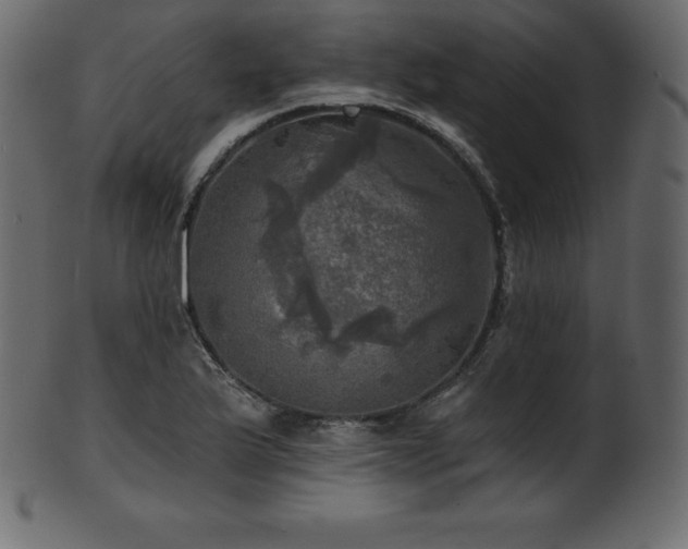 X0000102021175200807181319