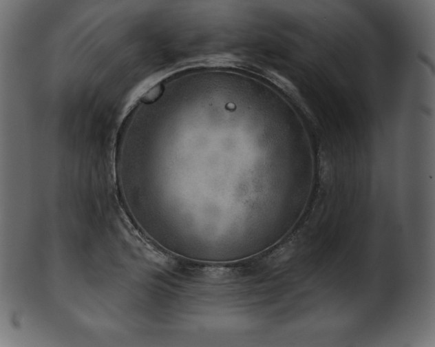 X0000102021176200807181319