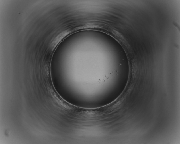 X0000102021177200807181319