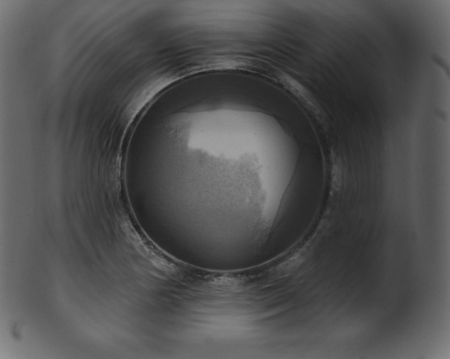 X0000102021178200807181319