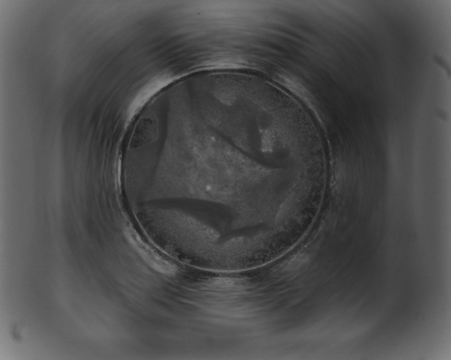 X0000102021179200807181319