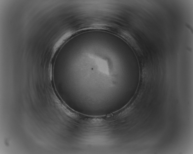 X0000102021180200807181319