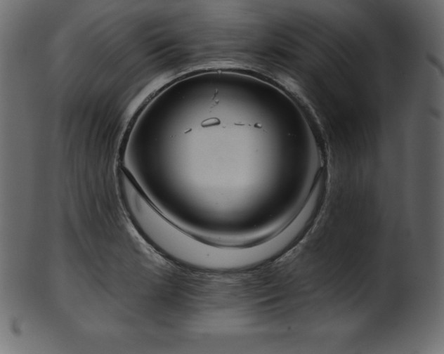 X0000102021181200807181319
