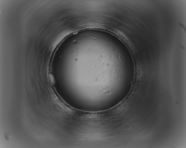 X0000102021182200807181319