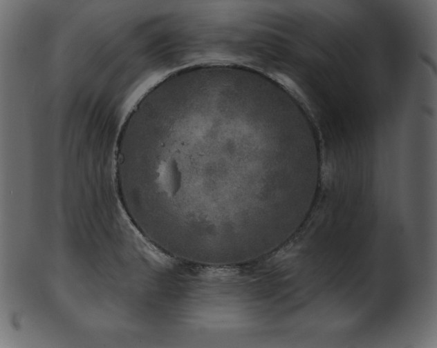 X0000102021183200807181319