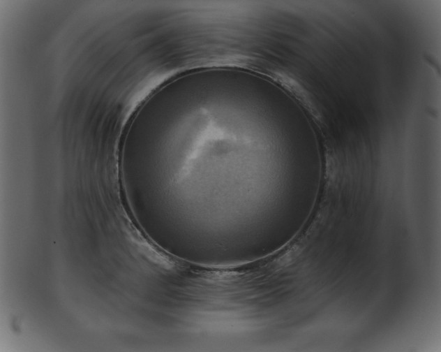 X0000102021184200807181319