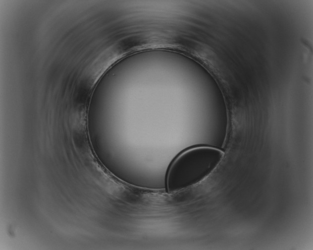 X0000102021185200807181319